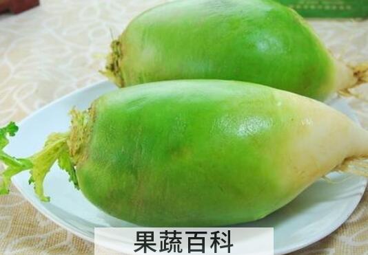 青萝卜熬水的功效与作用