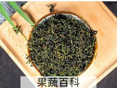 蒲公英茶叶的功效与作用