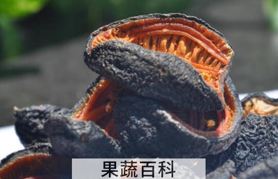 海参皮怎么泡发 怎么样正确泡发海参皮