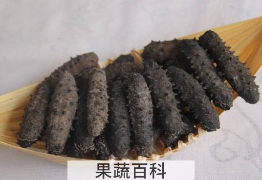 海参皮怎么泡发 怎么样正确泡发海参皮