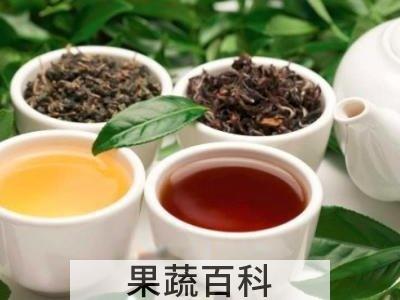 蒲公英茶哪些人不宜喝 长期喝蒲公英茶副作用