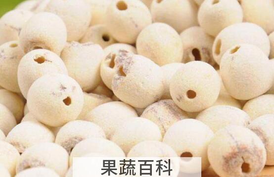 莲子肉的功效与作用及禁忌症