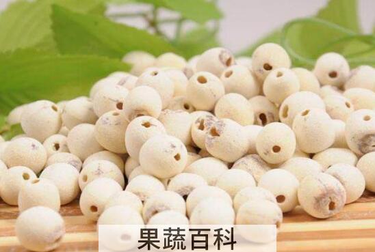 莲子肉的功效与作用及禁忌症