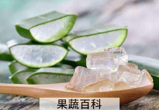 鲜芦荟液的功效与作用