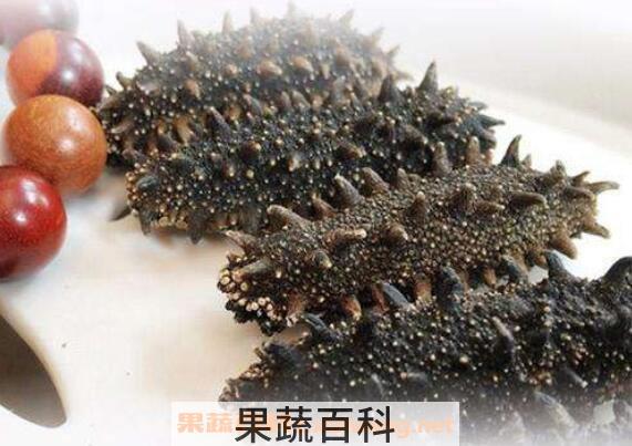 刺海参的功效与作用