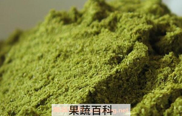 松针粉的功效与作用