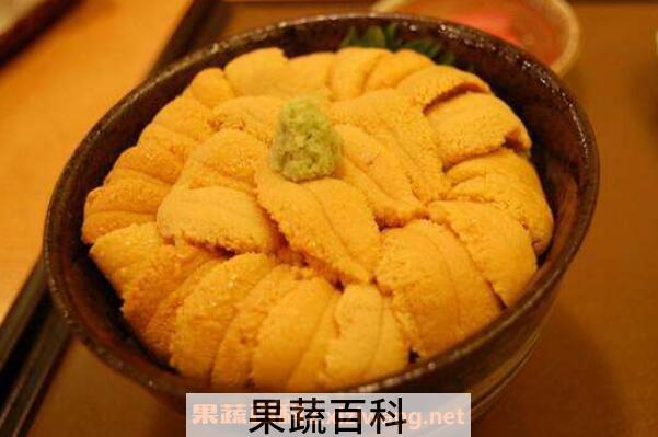 海胆怎么吃有营养价值 海胆不能和什么一起吃