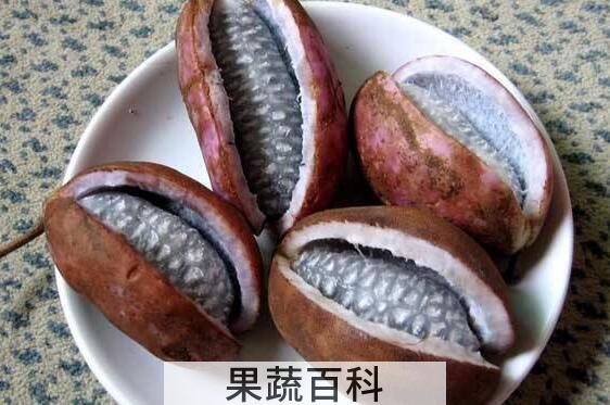 八月瓜的功效与作用 八月瓜怎么吃