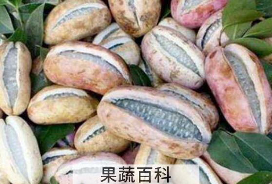 八月瓜泡水喝什么功效