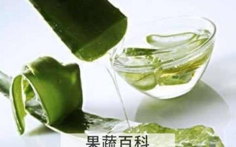 芦荟汁液的功效与作用