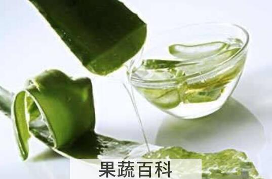  芦荟汁液的功效与作用 