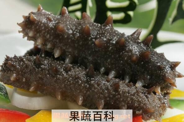 辽参的营养价值 吃辽参的好处