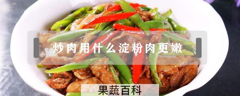 炒肉用什么淀粉肉更嫩
