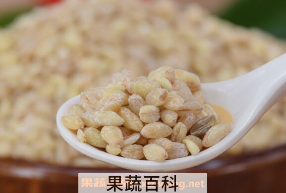 炒麦仁的功效与作用