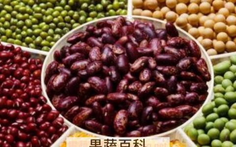 怎么做五谷杂粮 吃五谷杂粮的功效与作用