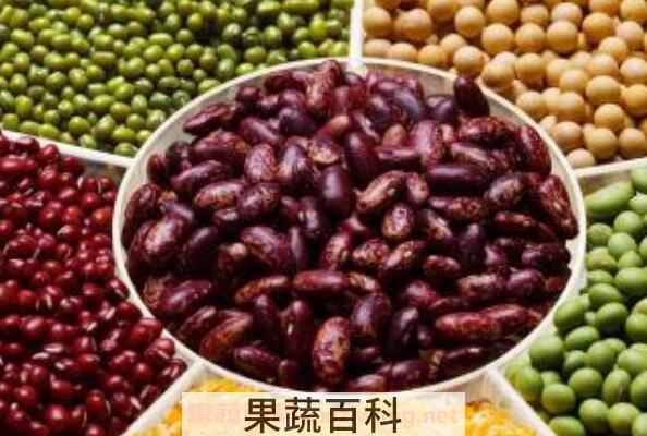 怎么做五谷杂粮 吃五谷杂粮的功效与作用