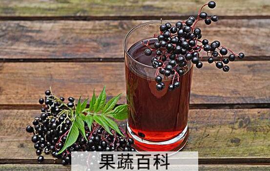 接骨木果汁的功效与作用