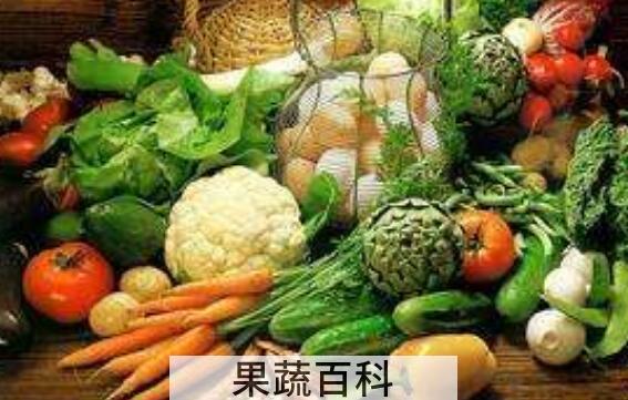 每天正确的饮食怎么安排 女人每天的正确饮食
