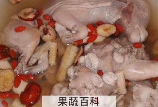 羊胎盘的功效与作用 女人吃羊胎盘的好处