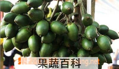果蔬百科槟榔