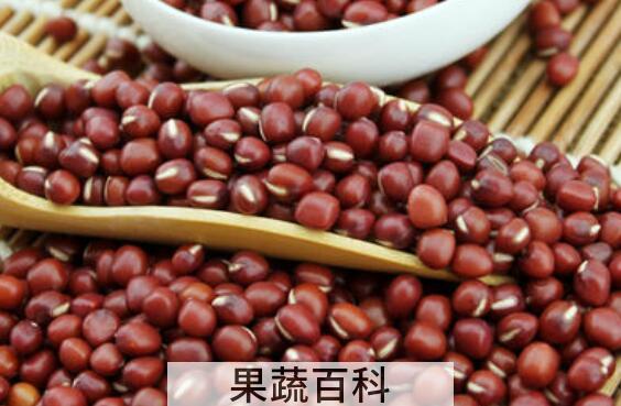 红小豆的功效与作用 红小豆的食用方法