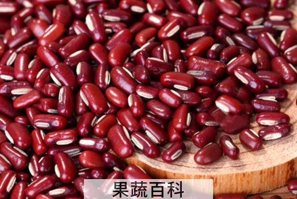 红小豆和赤小豆的区别 吃红小豆的好处