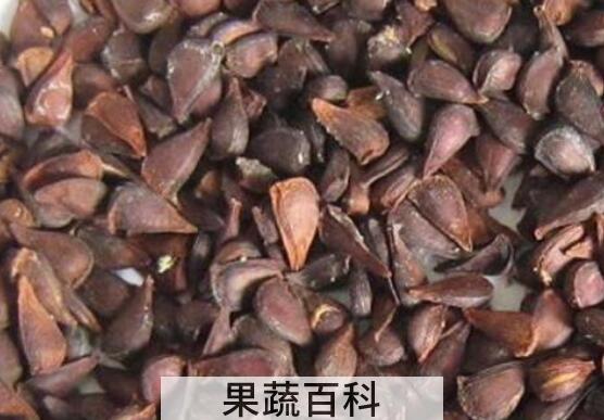 木瓜核的功效与作用 吃木瓜的好处