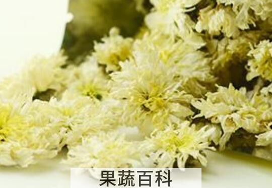 滁州贡菊和滁菊的区别 滁州贡菊的功效
