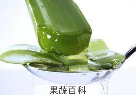 芦荟怎么吃 芦荟的食用方法