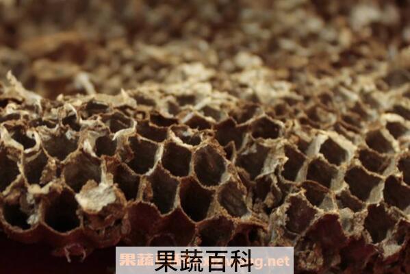蜂窝泡酒的作用与功效 蜂窝怎么泡酒