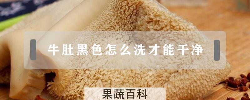 牛肚黑色怎么洗才能干净