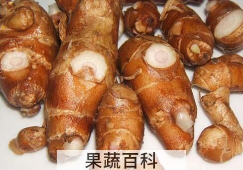 新鲜沙姜怎么吃 沙姜如何食用
