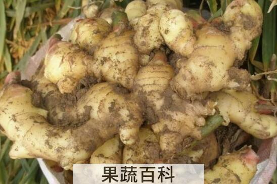 这4类人吃姜如吃砒霜