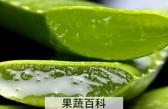 芦荟减肥如何用 芦荟减肥的使用方法