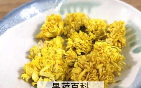 玲珑菊的功效与作用及药用价值