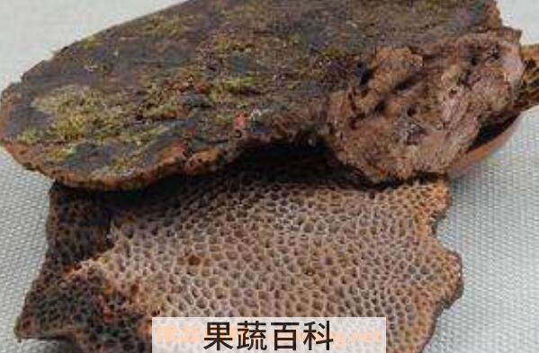  野生蜂窝的功效与作用