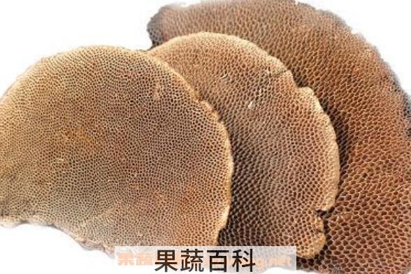 干马蜂窝的作用与功效