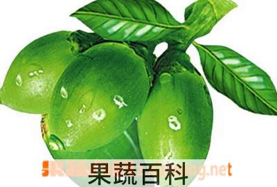 果蔬百科槟榔