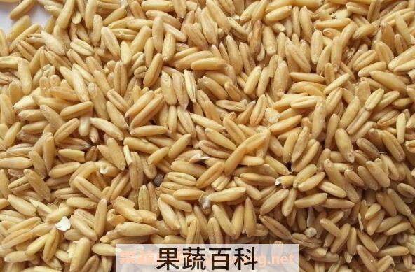 裸燕麦的功效与作用