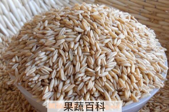 裸燕麦的功效与作用