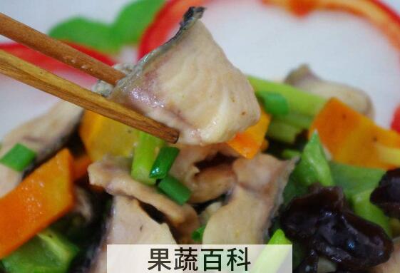 黑鱼不适合什么人吃 吃黑鱼的禁忌