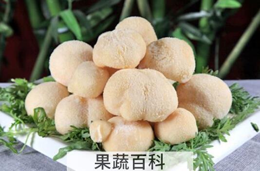 猴头菇怎么吃 猴头菇的食用方法大全
