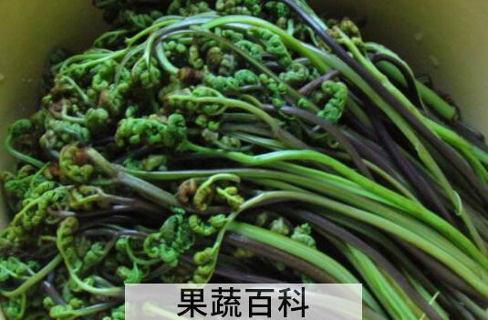 医生都不吃的三种蔬菜