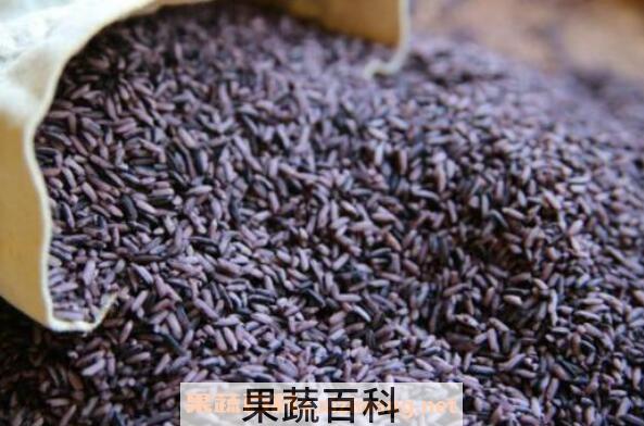 紫米怎么吃 紫米的食用方法