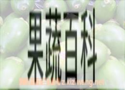 果蔬百科槟榔子