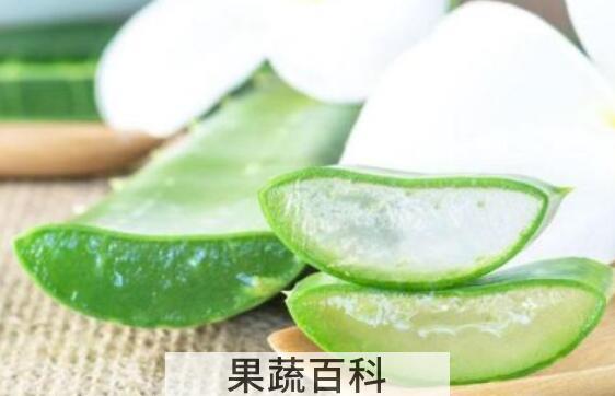 生吃芦荟的功效与作用