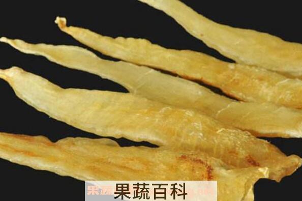 金龙鱼胶是什么 金龙鱼胶的功效与作用