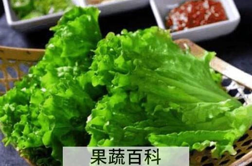 生菜怎么洗才没有寄生虫