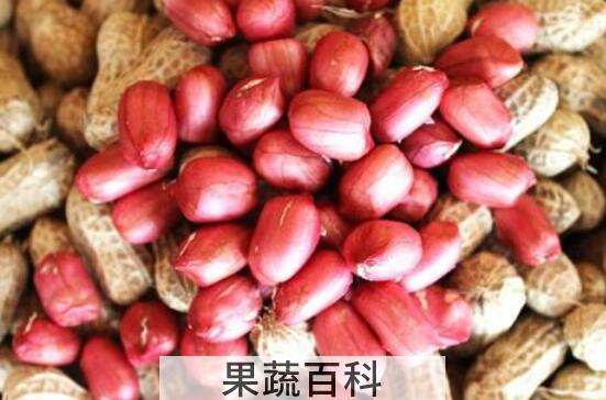 花生的功效与作用及禁忌
