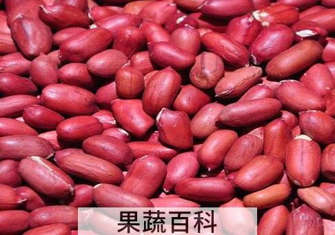 花生的功效与作用及禁忌